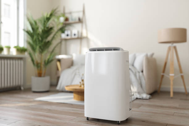 Best Air Filters and Purifiers in Lake Sarasota, FL